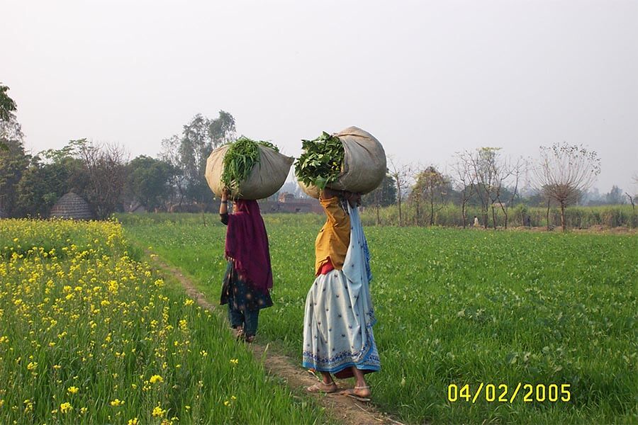 agri