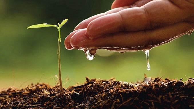 environment