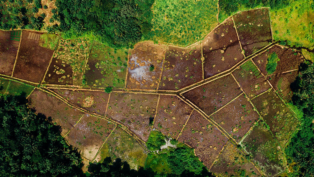 land-survey